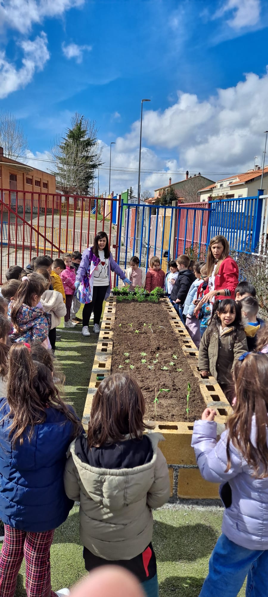 Alumnado de Educación Infantil alrededor del huerto escolar del colegio