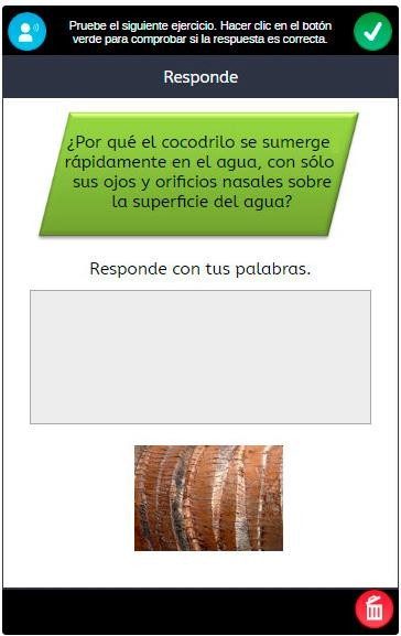 Actividad de expresión escrita en Snappet: responder con tus palabras
